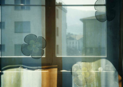 Stoffe für Räume - Twigs Gabie Hugener