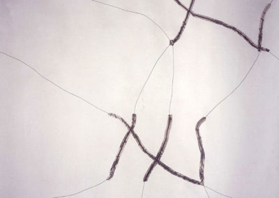 Stoffe für Räume - Twigs Gabie Hugener